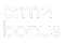 CRM Bonus